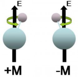 Research Highlight: Testing the Standard Model in a Single Molecule