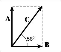 VectorImage6.gif (1815 bytes)