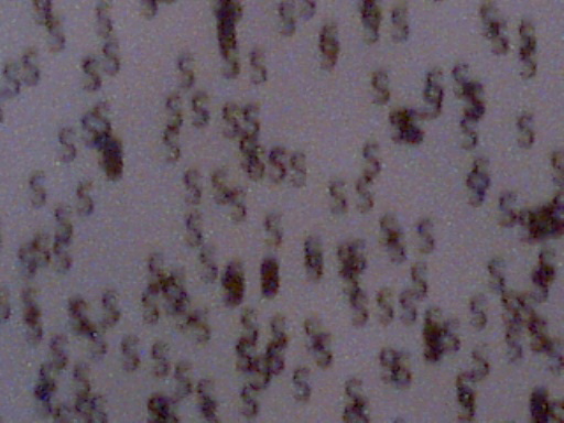 img25
