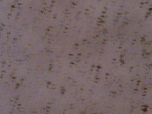 img36