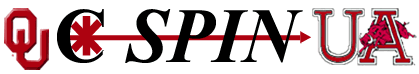 CSPIN Logo